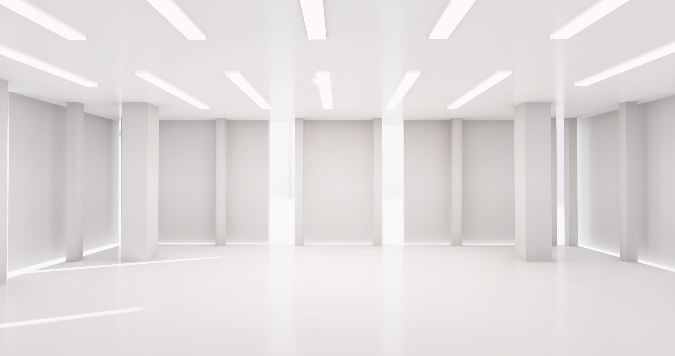empty white hall exhibition space. backdrop for exhibitions and